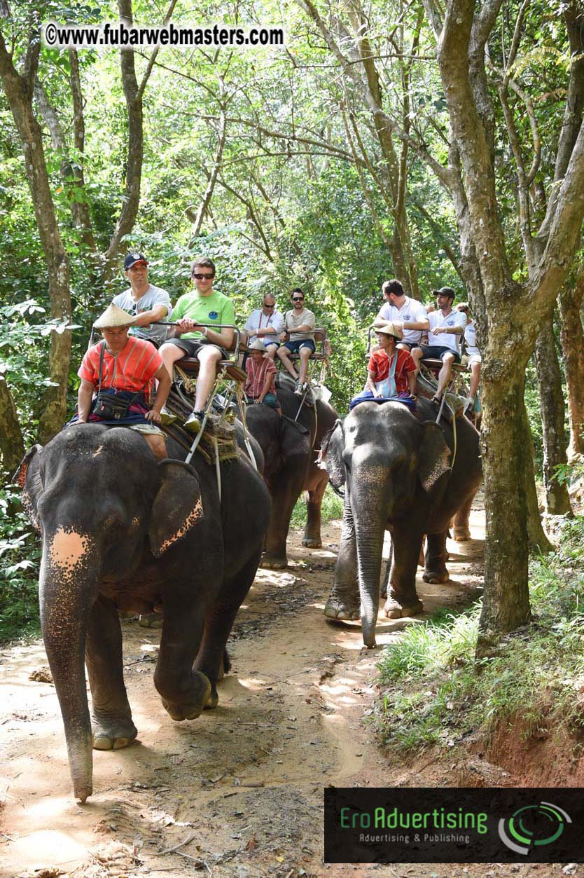 Elephant Safari 