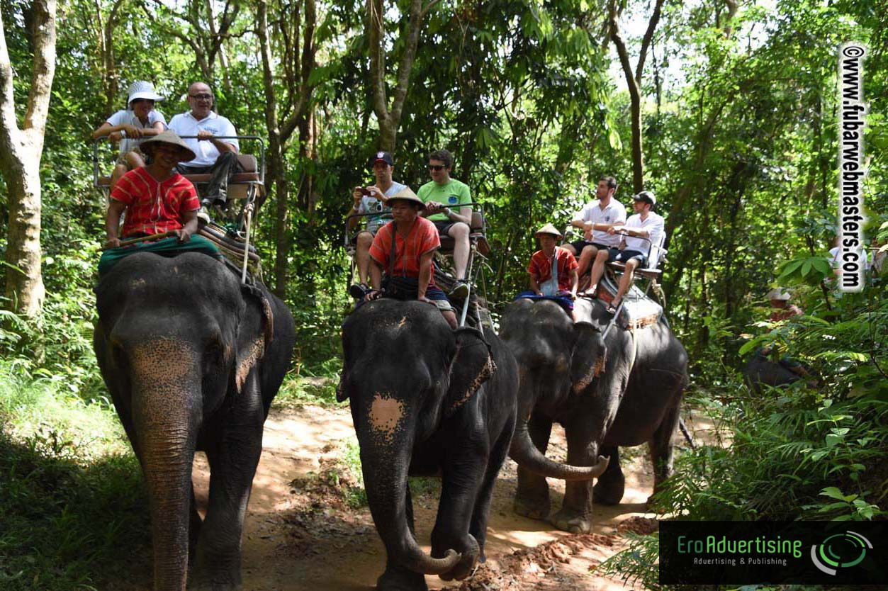 Elephant Safari 