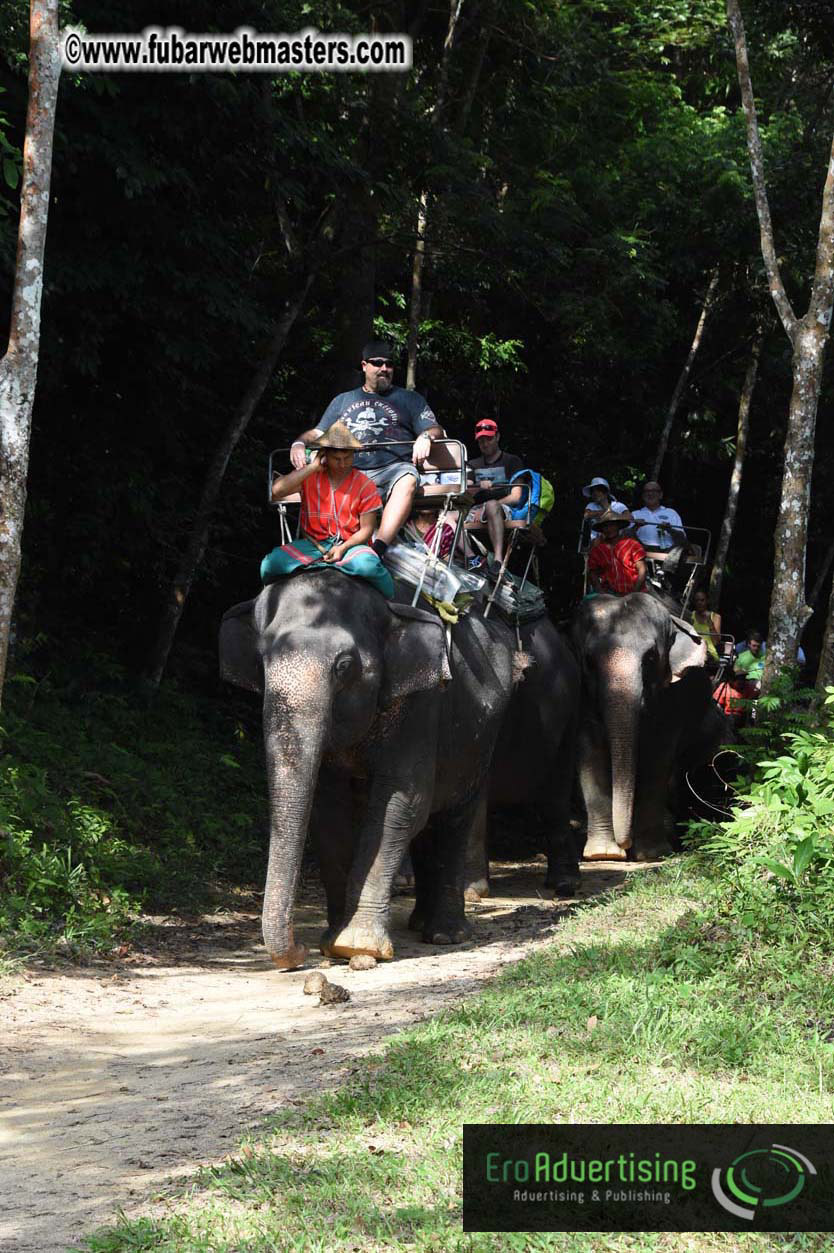 Elephant Safari 