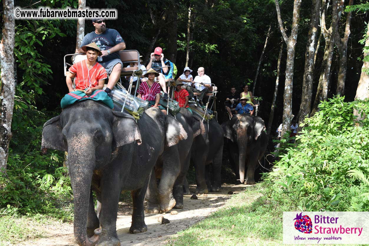 Elephant Safari 