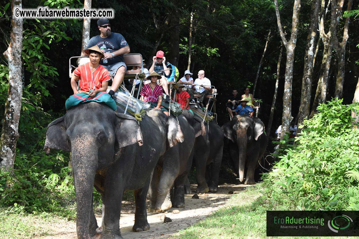 Elephant Safari 