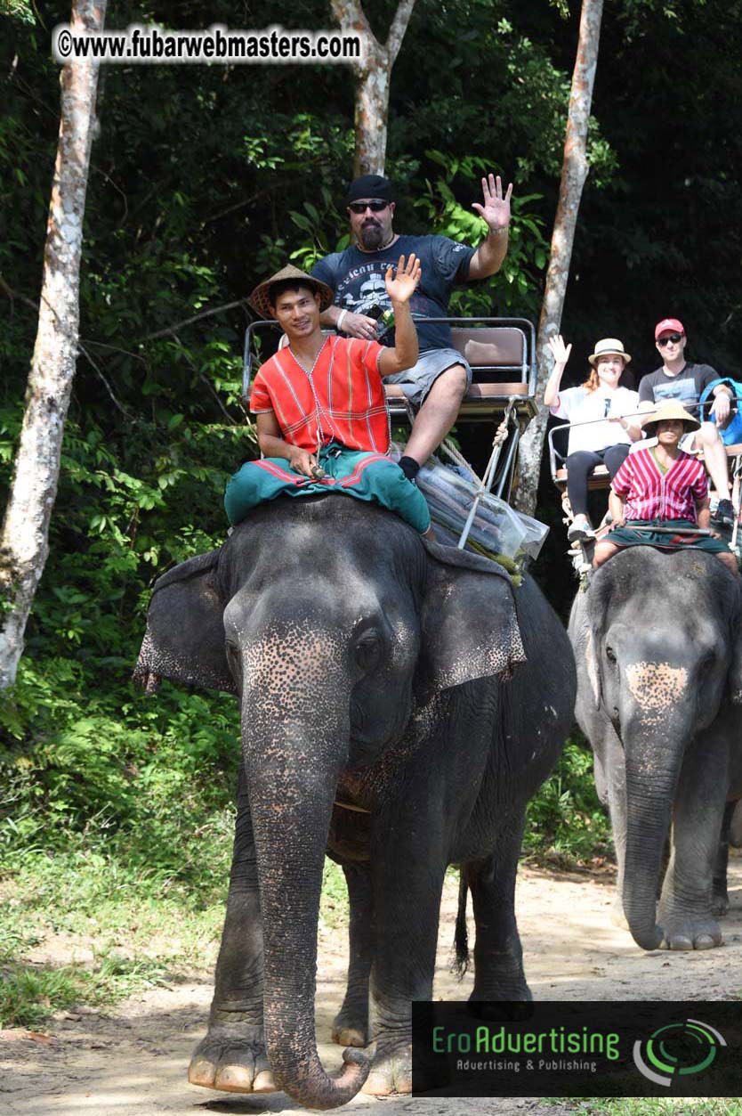 Elephant Safari 