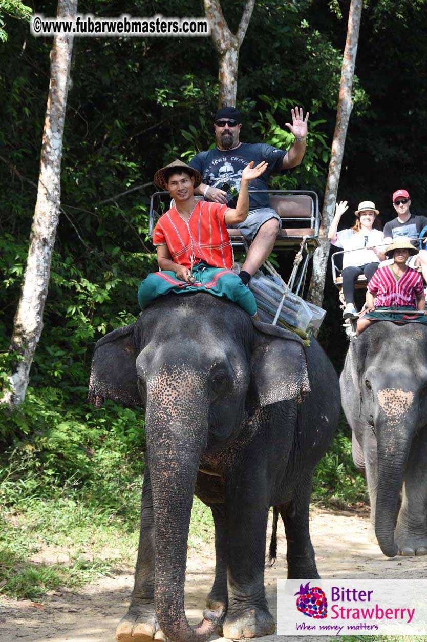 Elephant Safari 