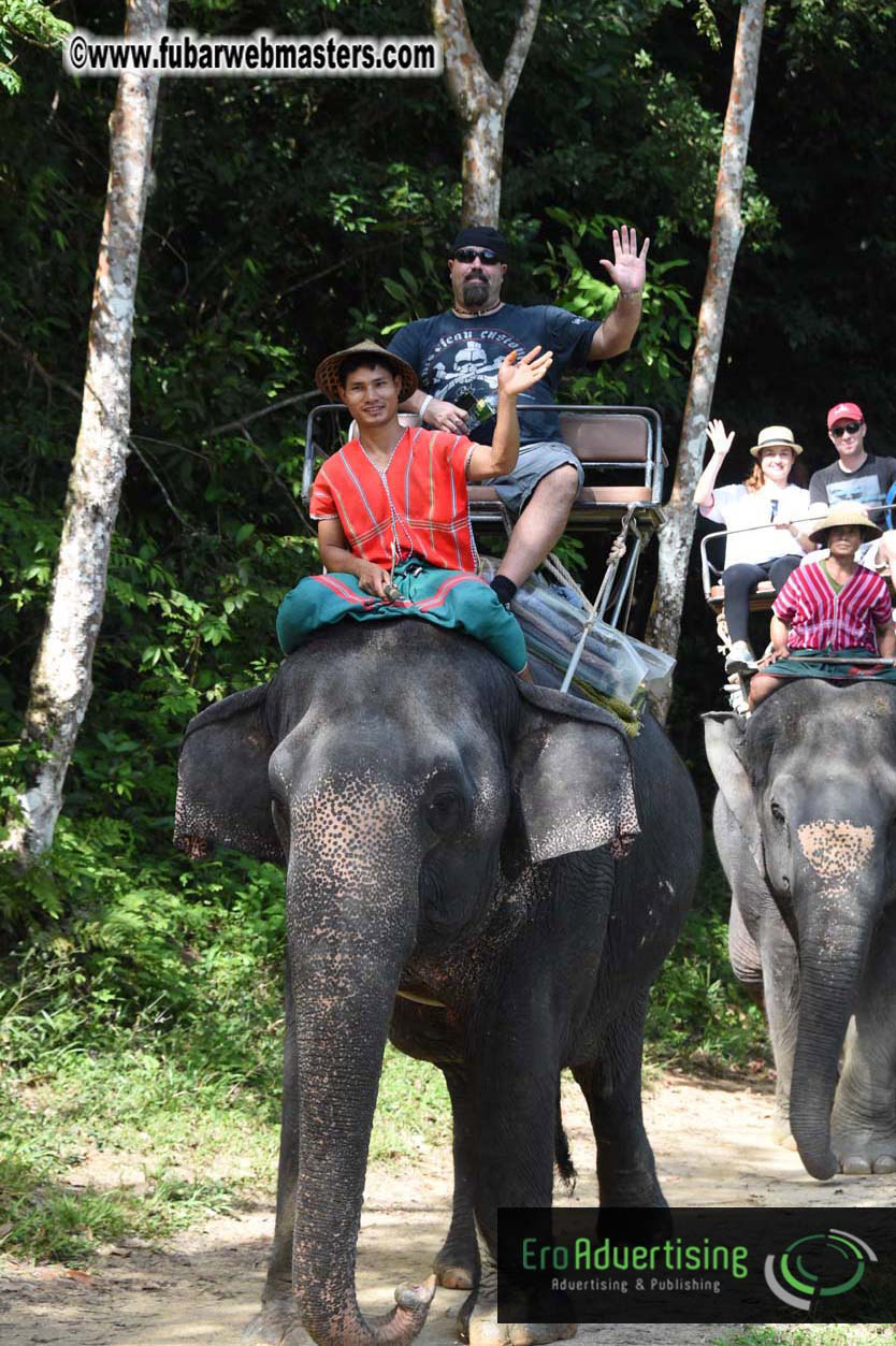 Elephant Safari 