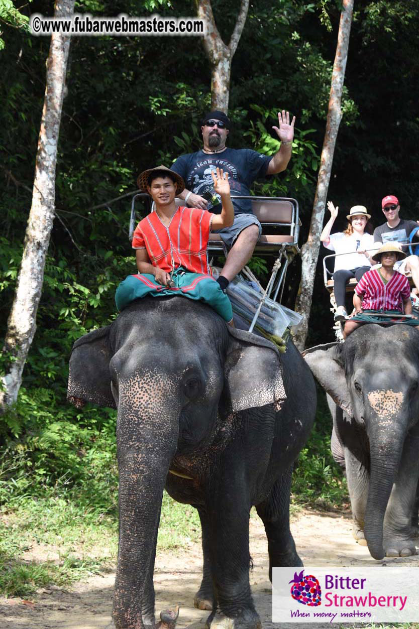 Elephant Safari 