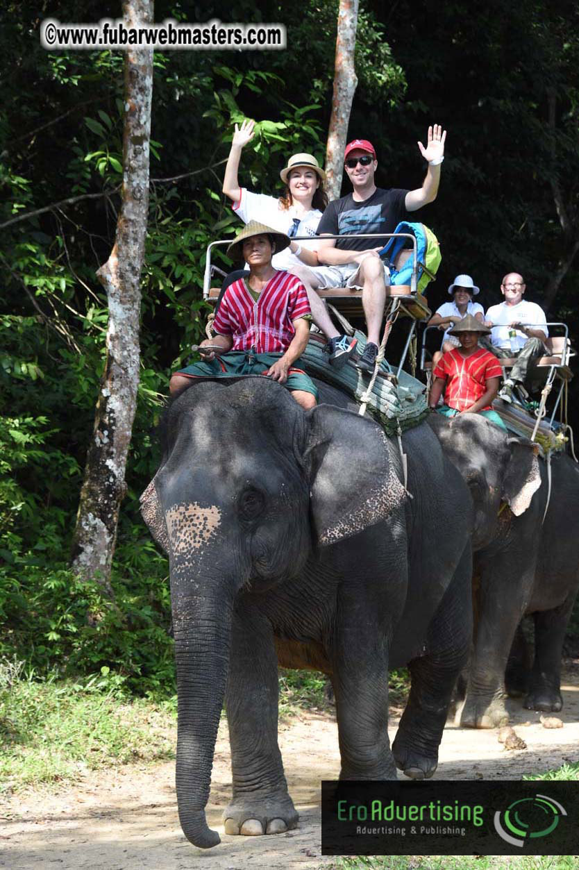 Elephant Safari 