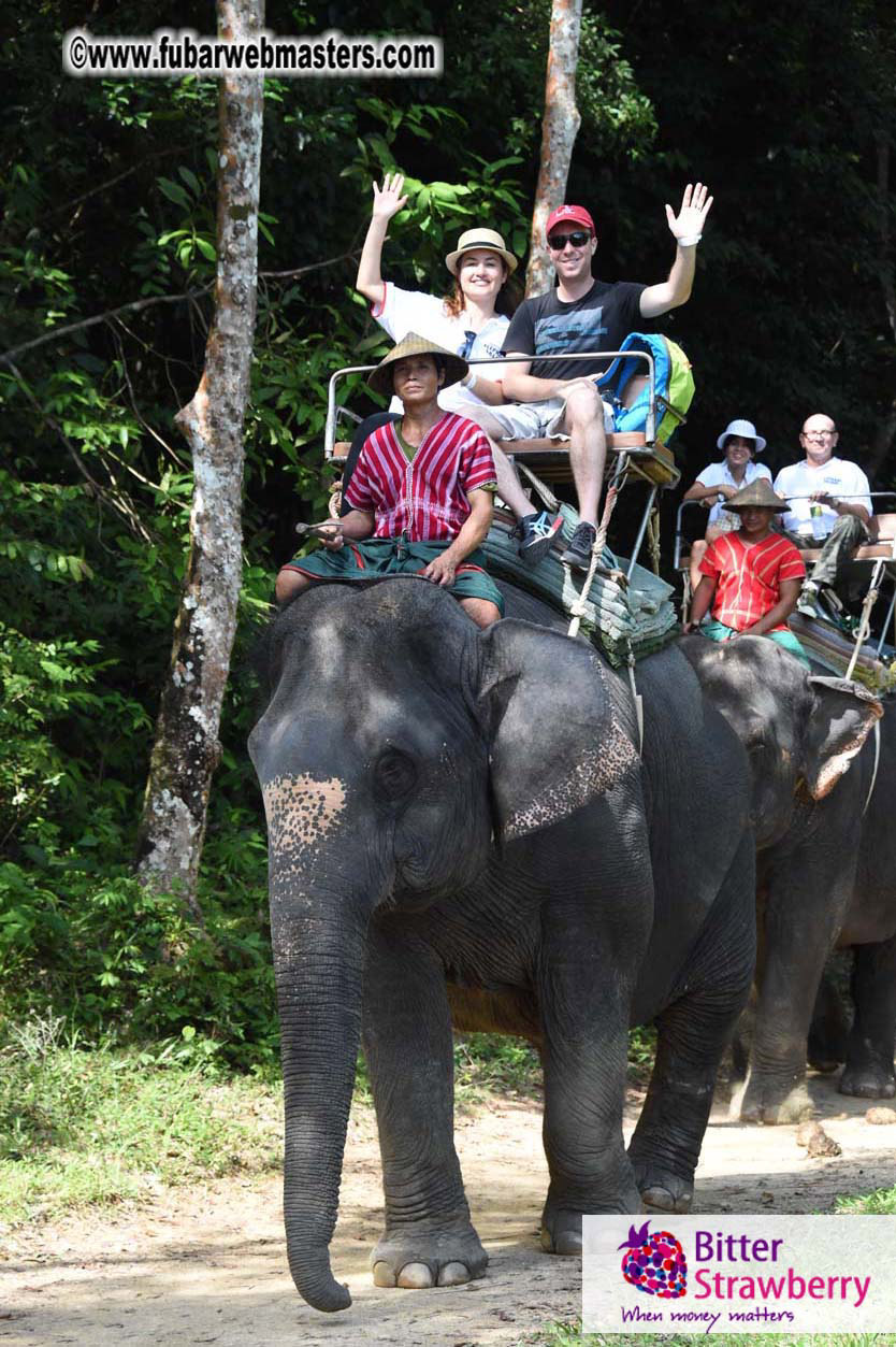 Elephant Safari 