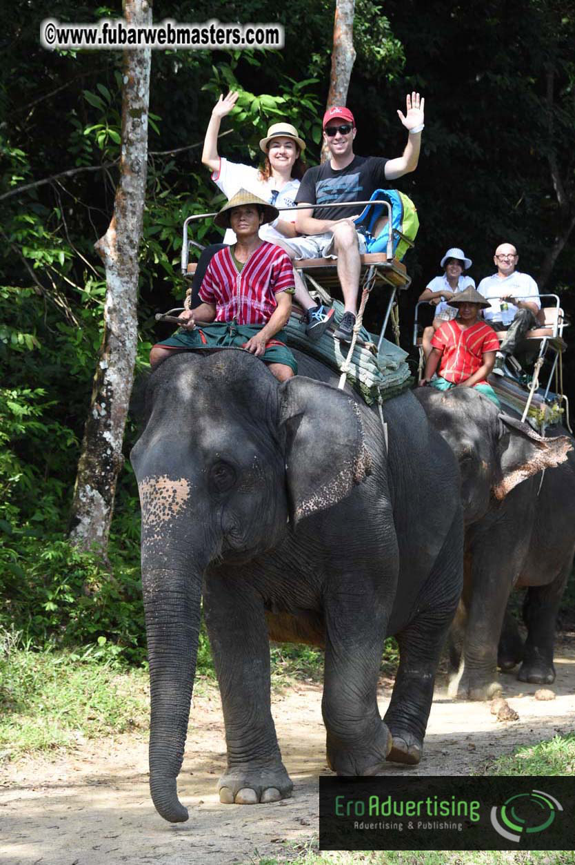 Elephant Safari 