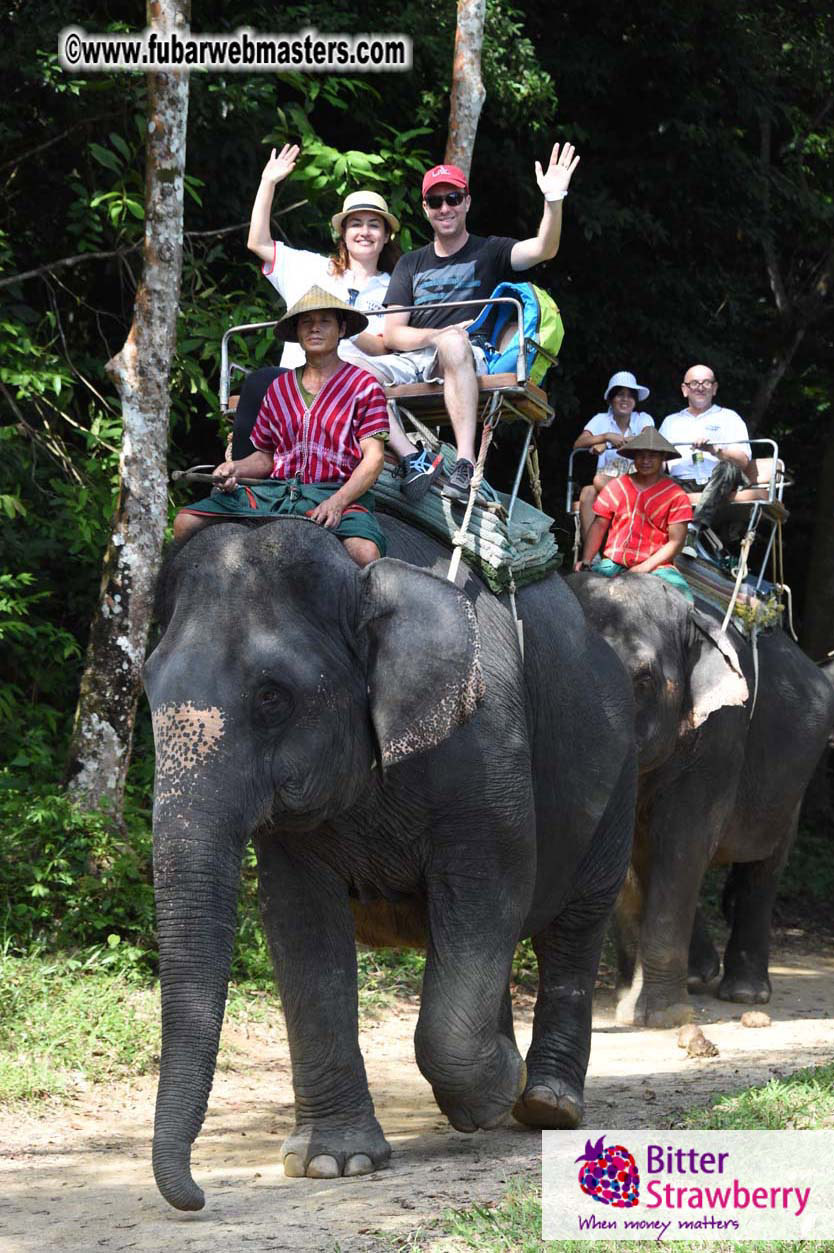 Elephant Safari 