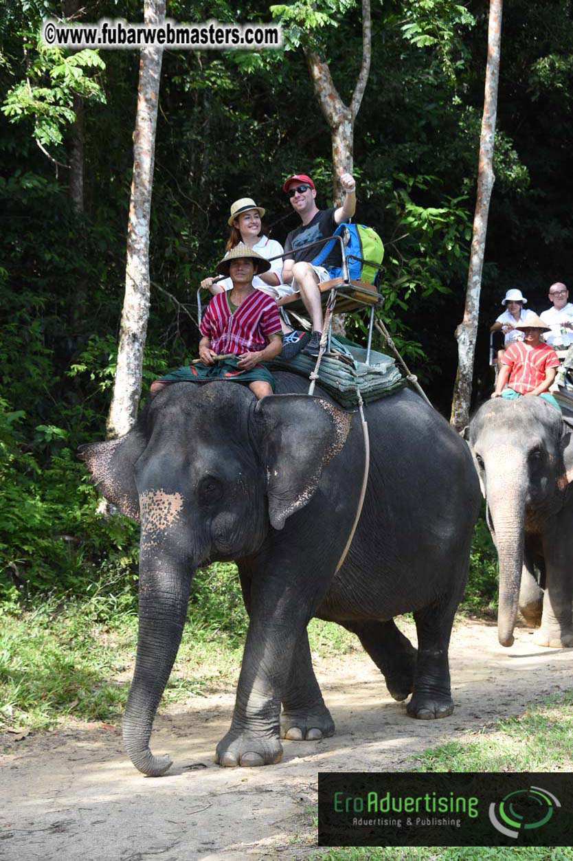 Elephant Safari 