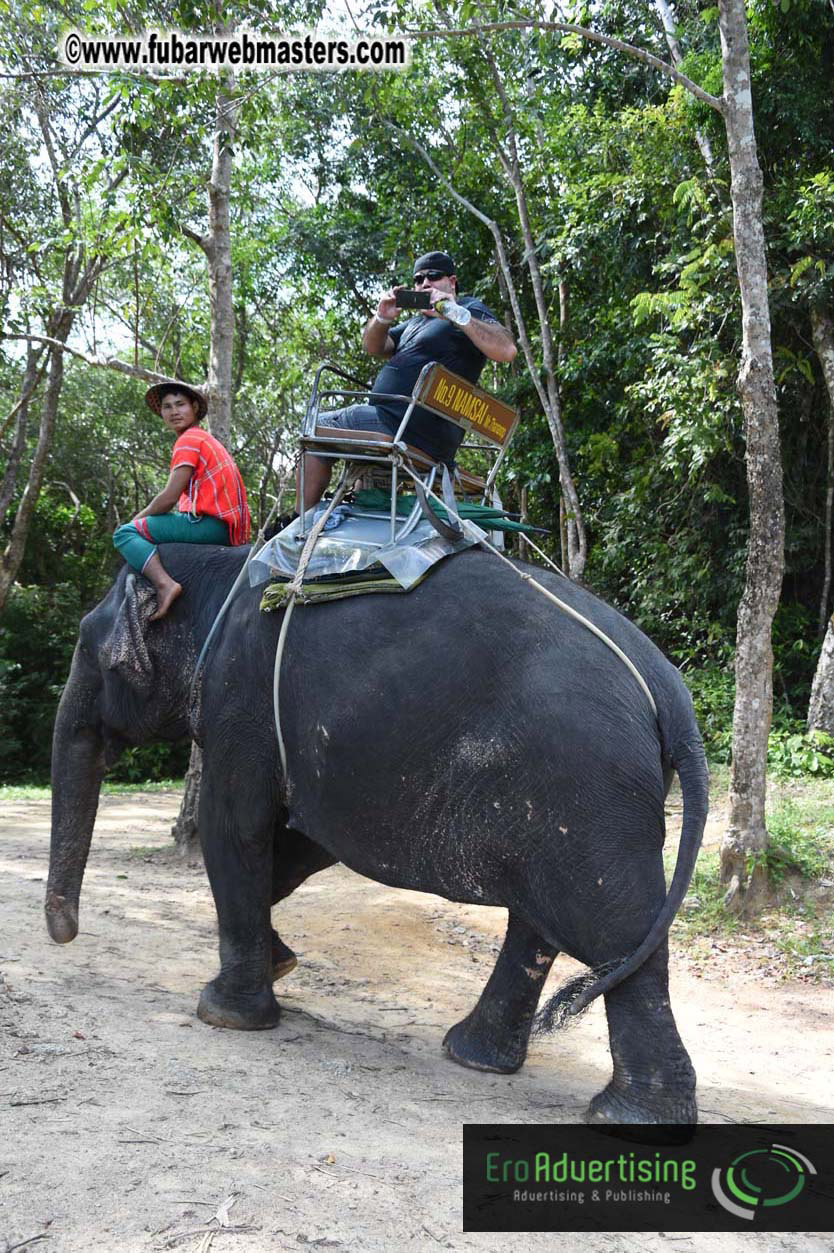 Elephant Safari 