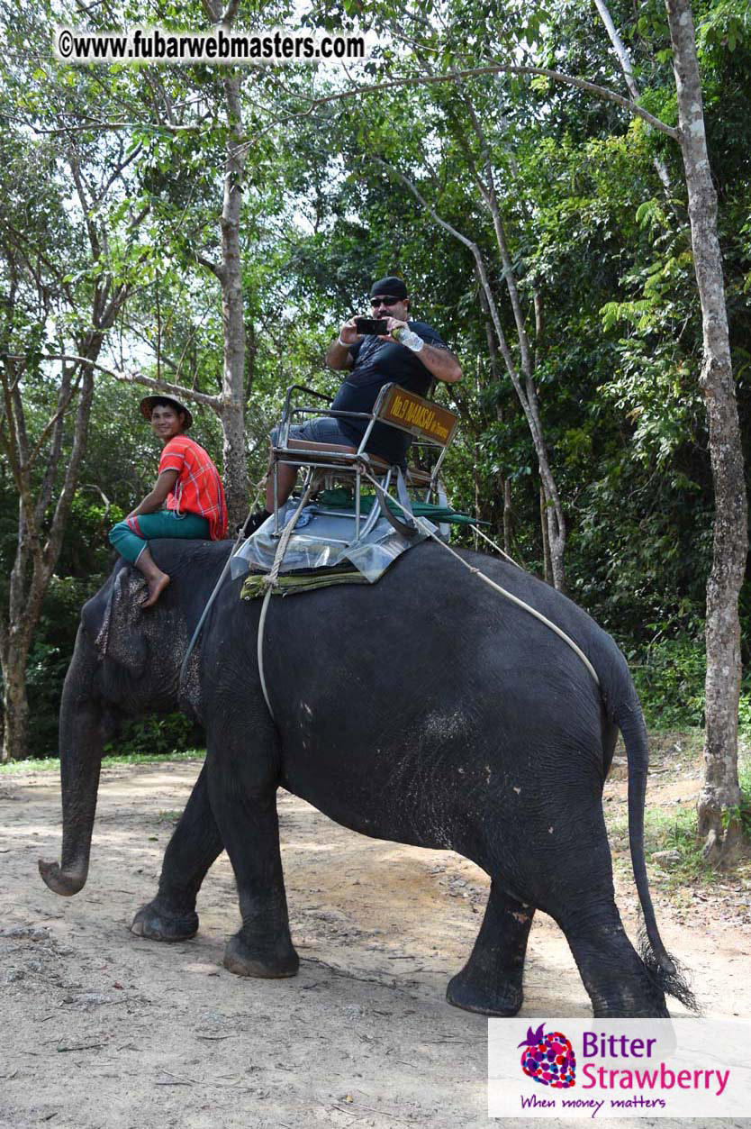 Elephant Safari 