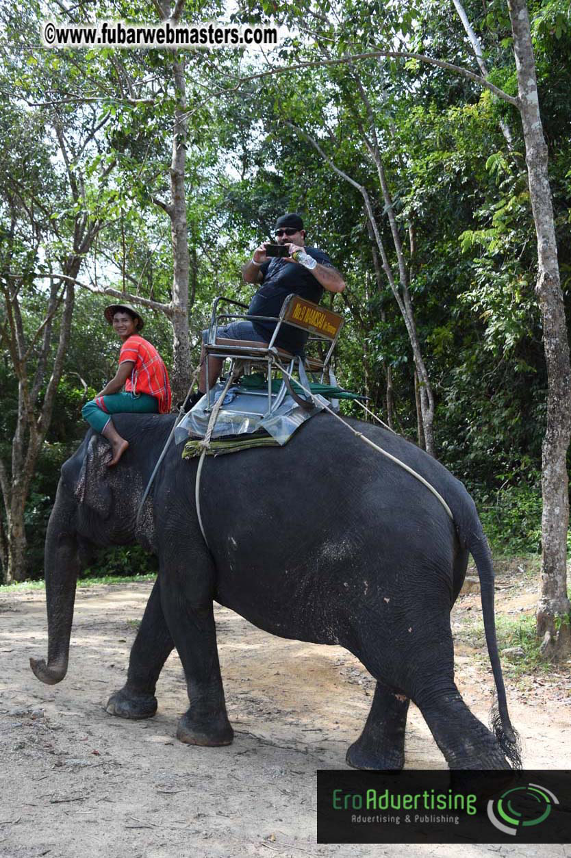 Elephant Safari 