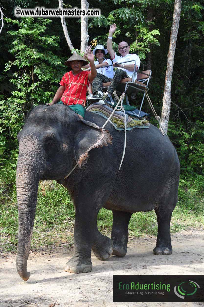 Elephant Safari 