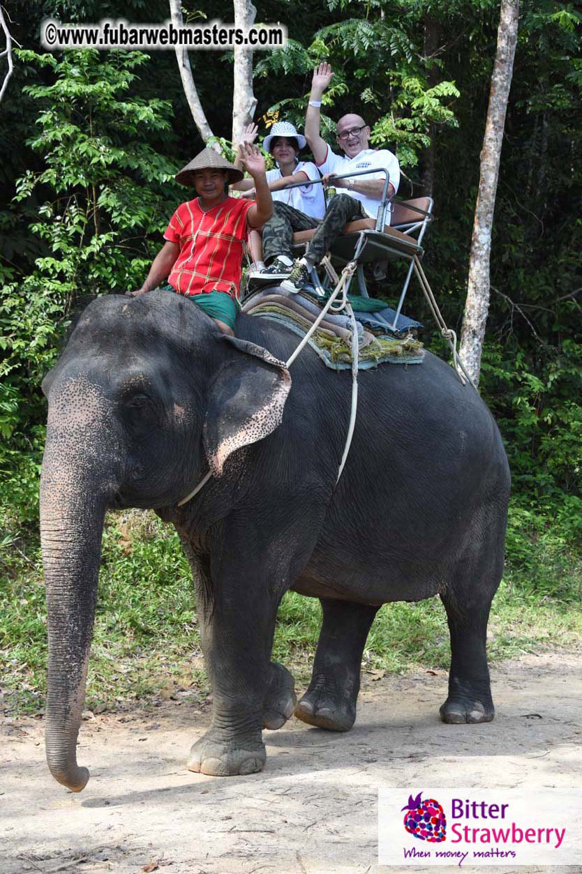 Elephant Safari 