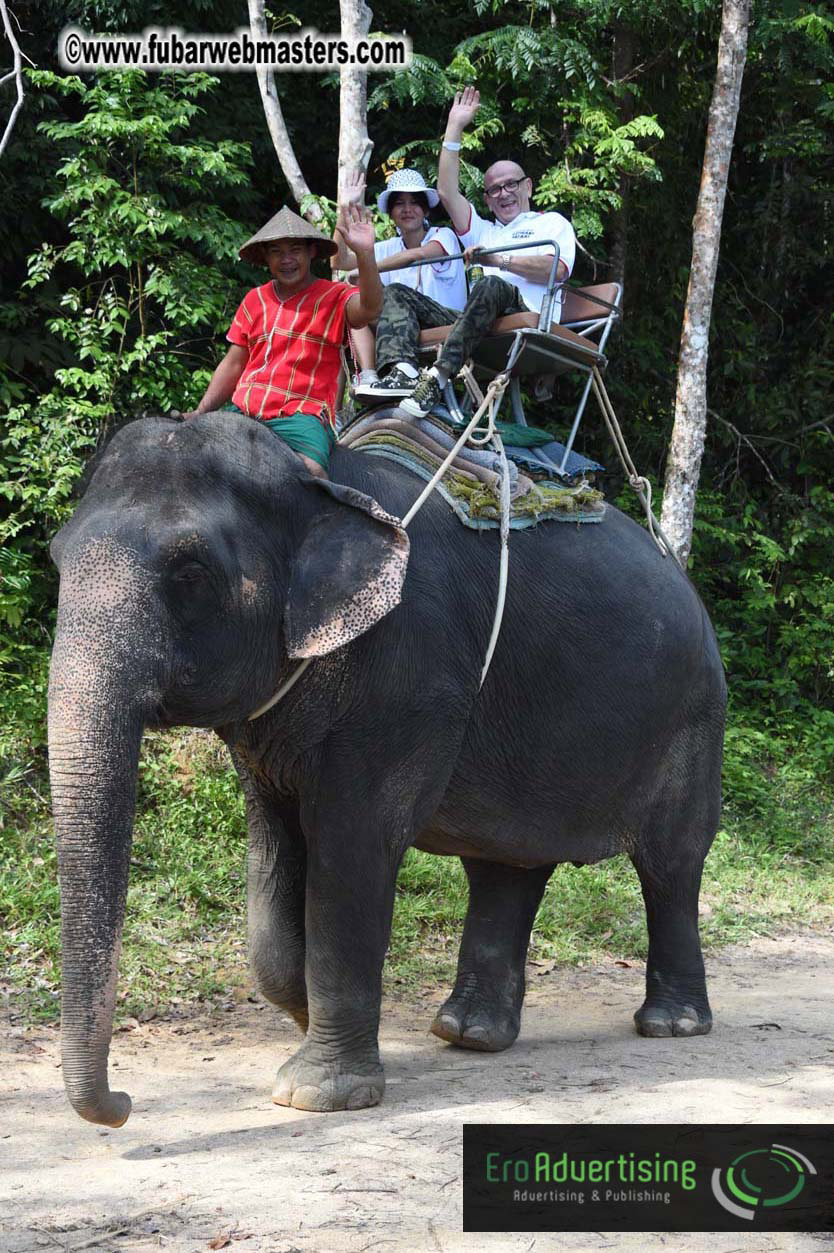 Elephant Safari 