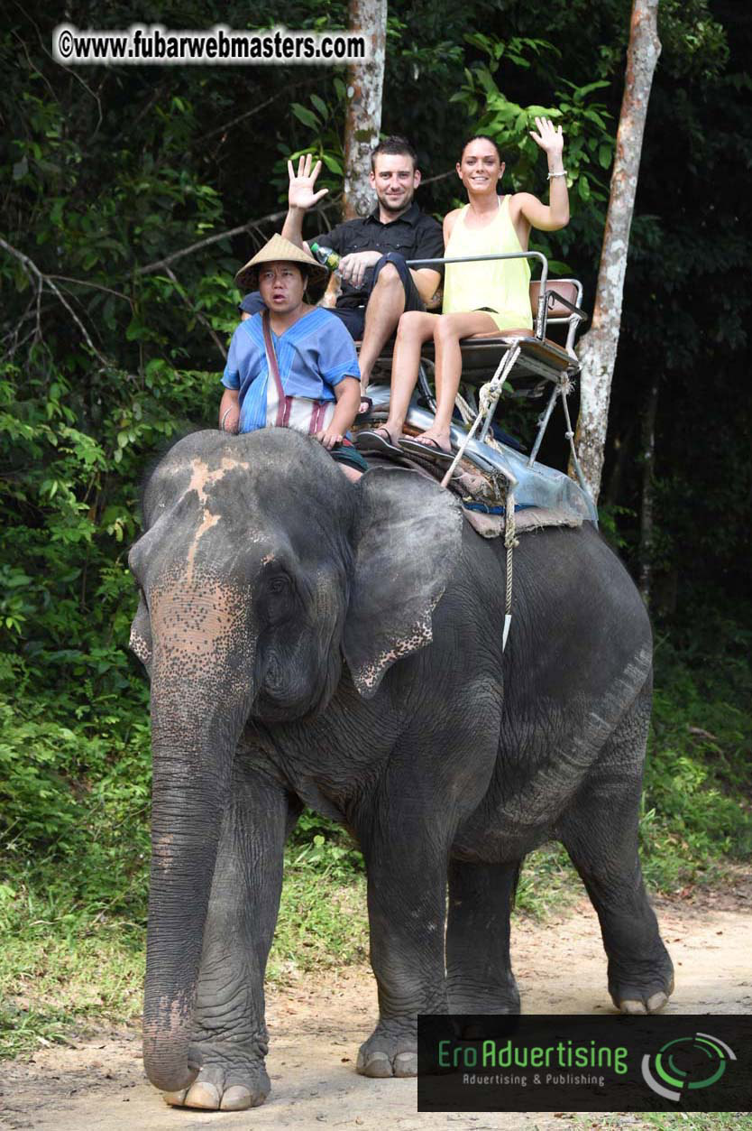 Elephant Safari 