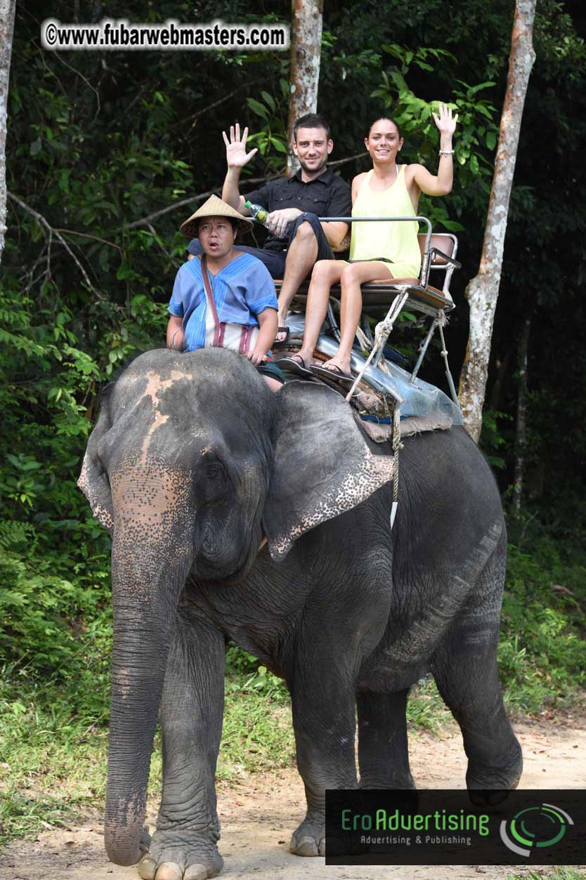 Elephant Safari 