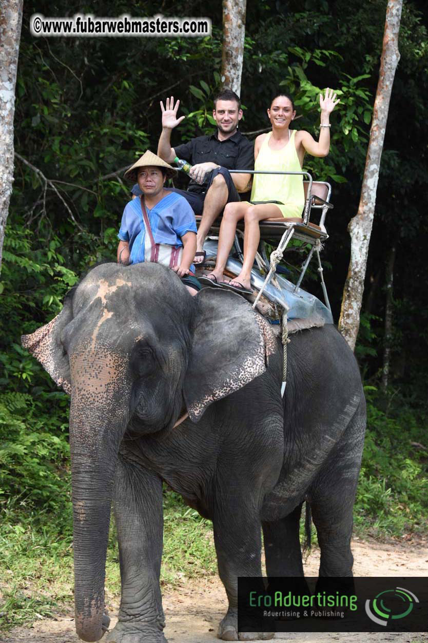 Elephant Safari 