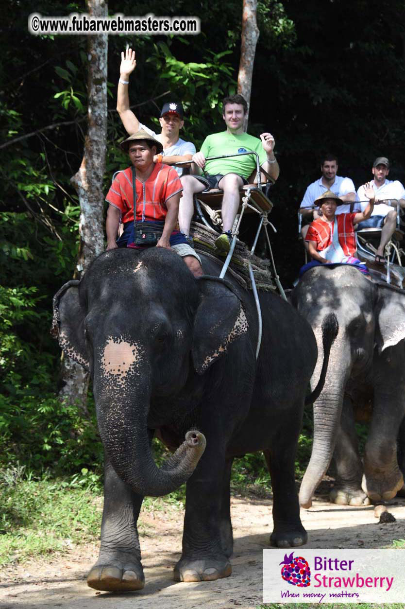 Elephant Safari 