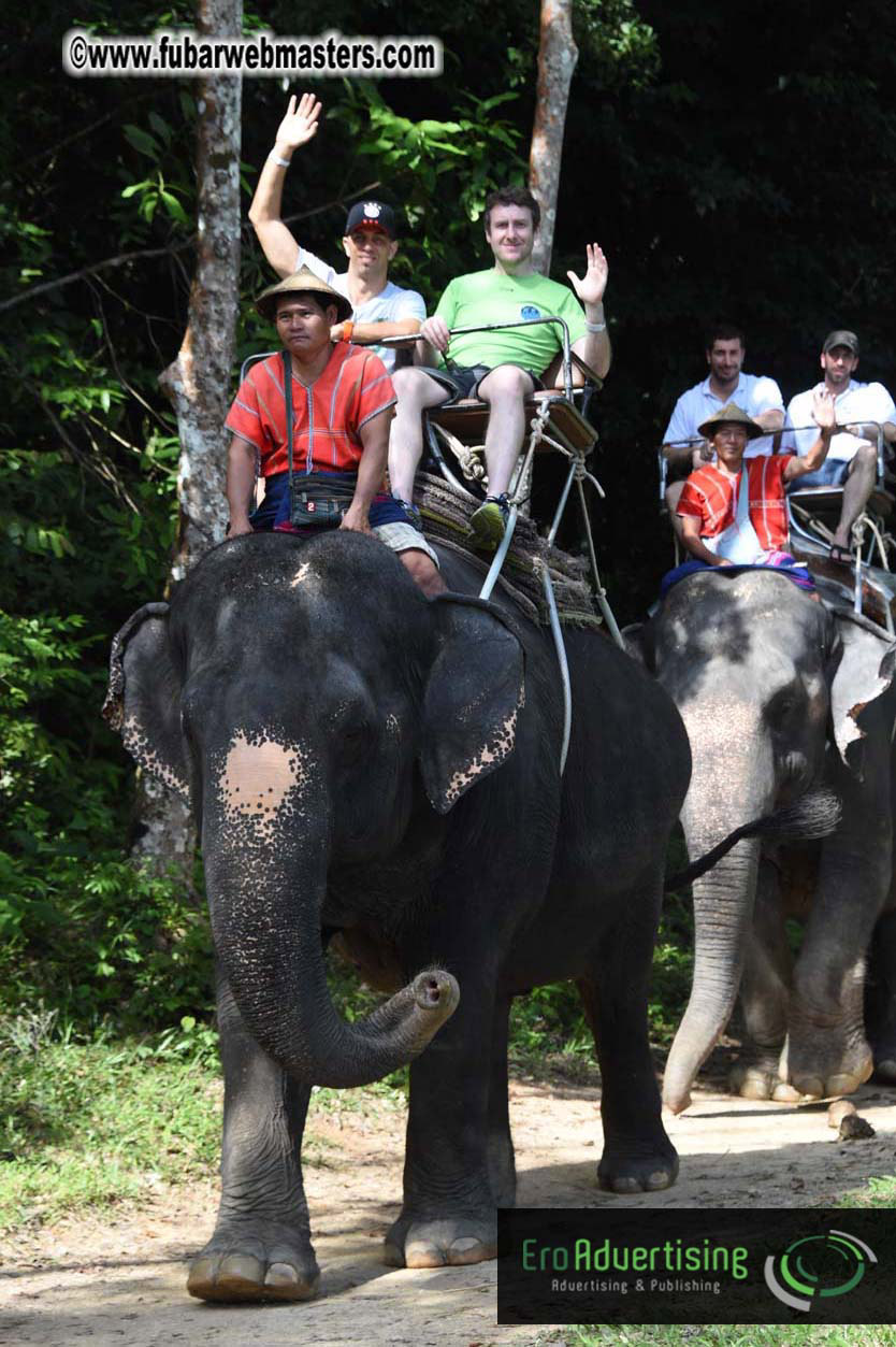 Elephant Safari 