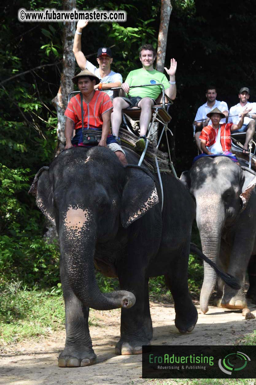 Elephant Safari 