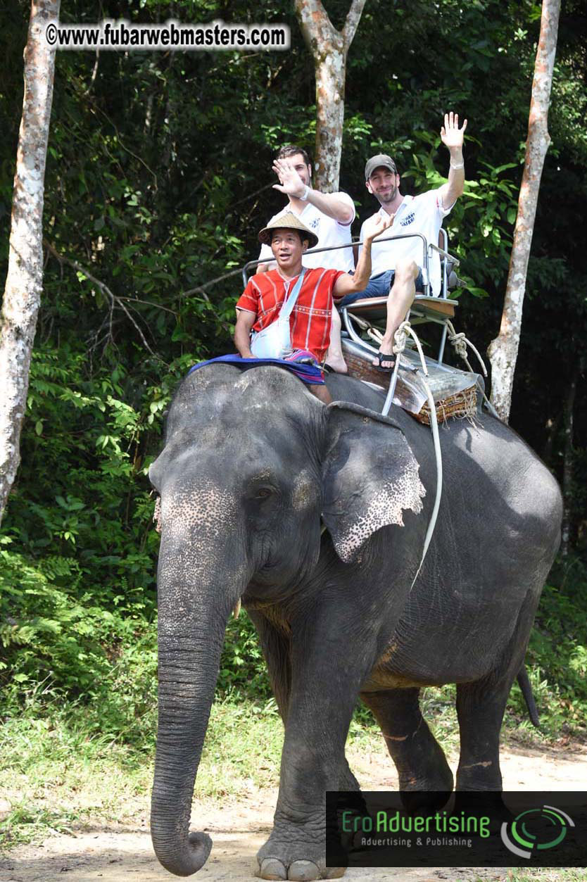 Elephant Safari 