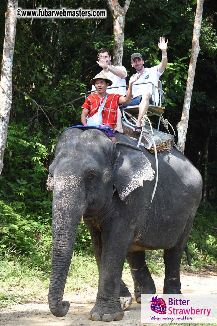 Elephant Safari 