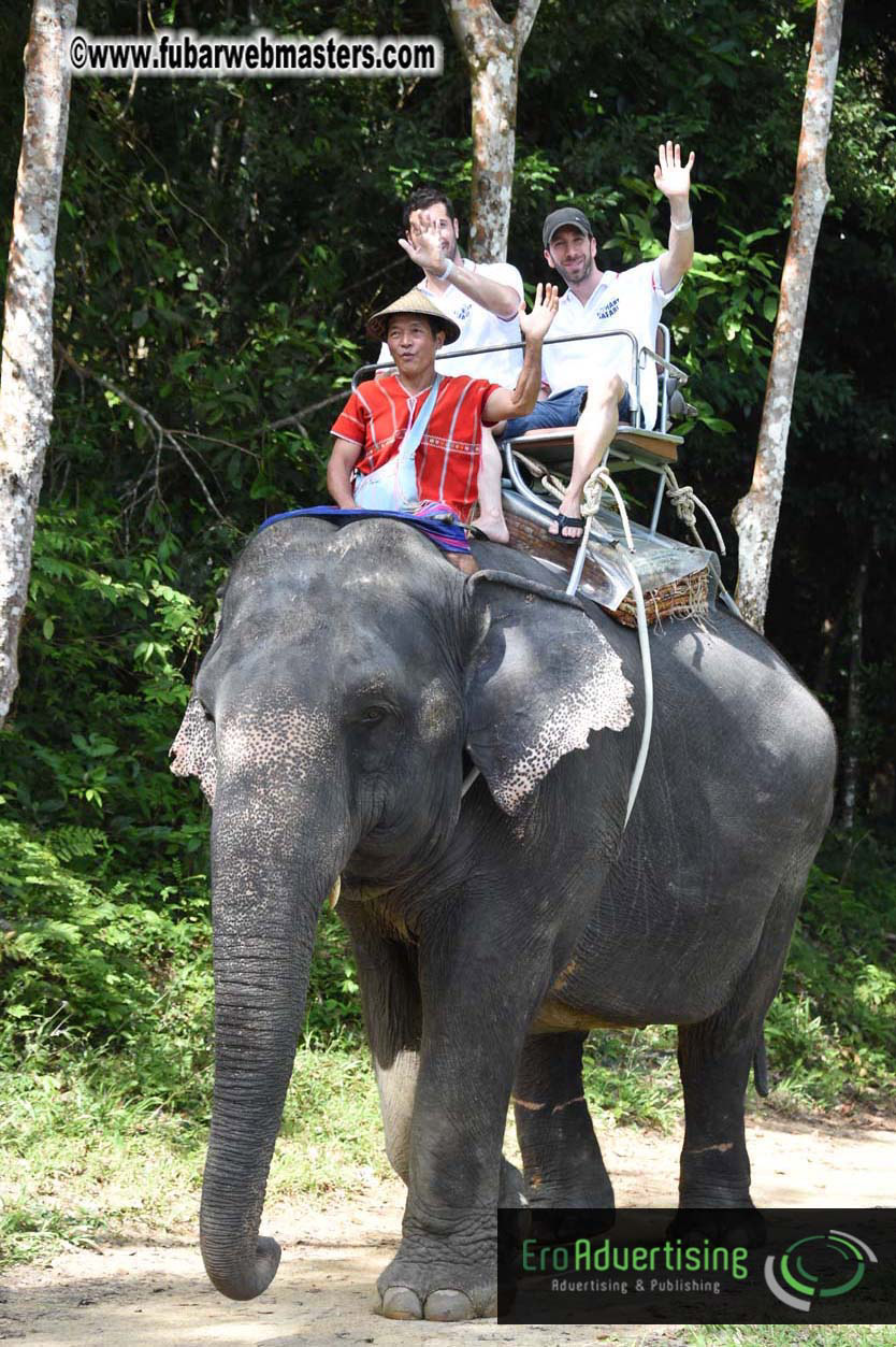 Elephant Safari 