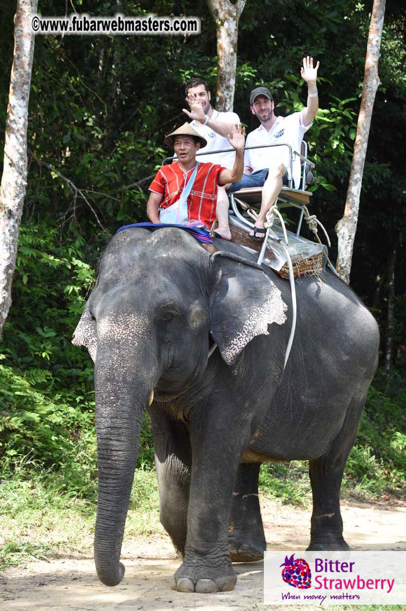 Elephant Safari 