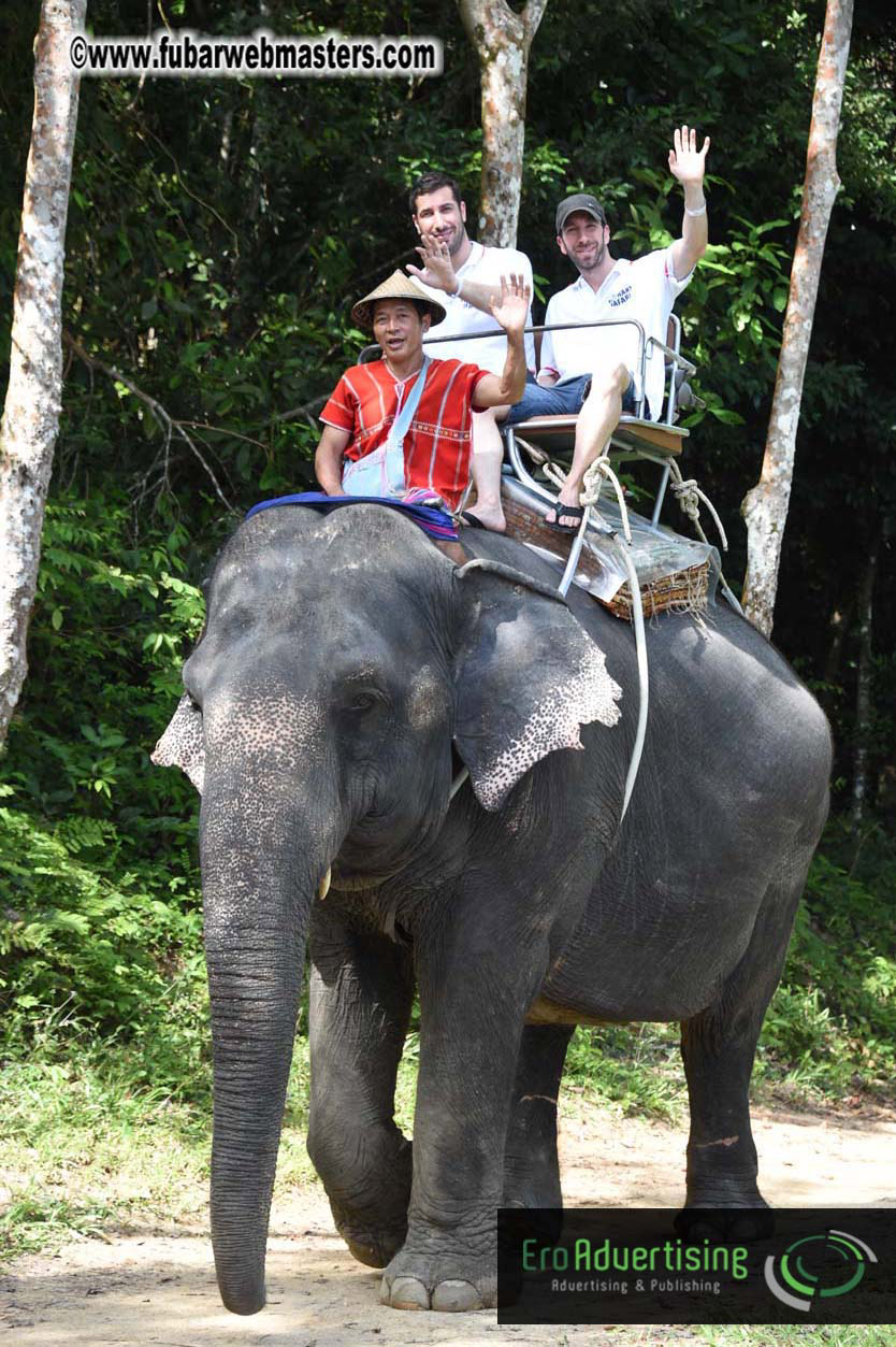 Elephant Safari 