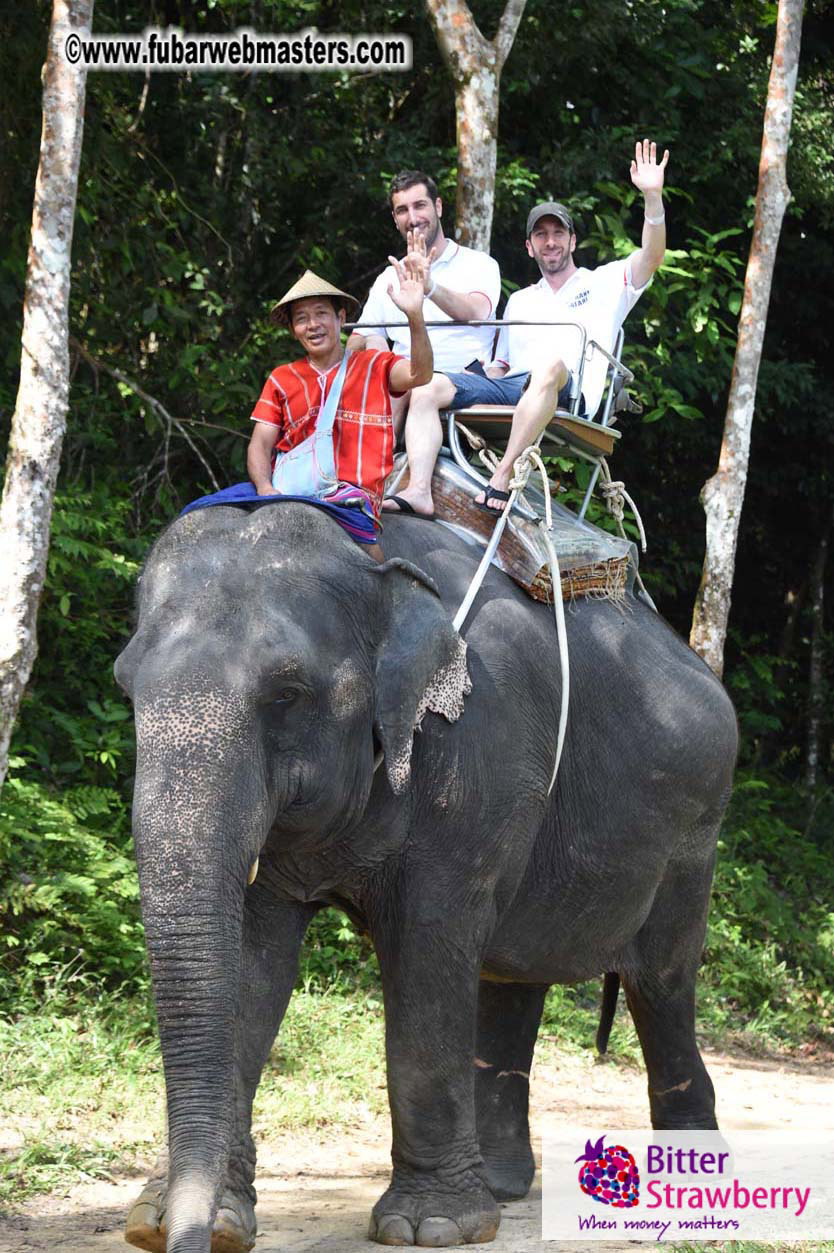 Elephant Safari 