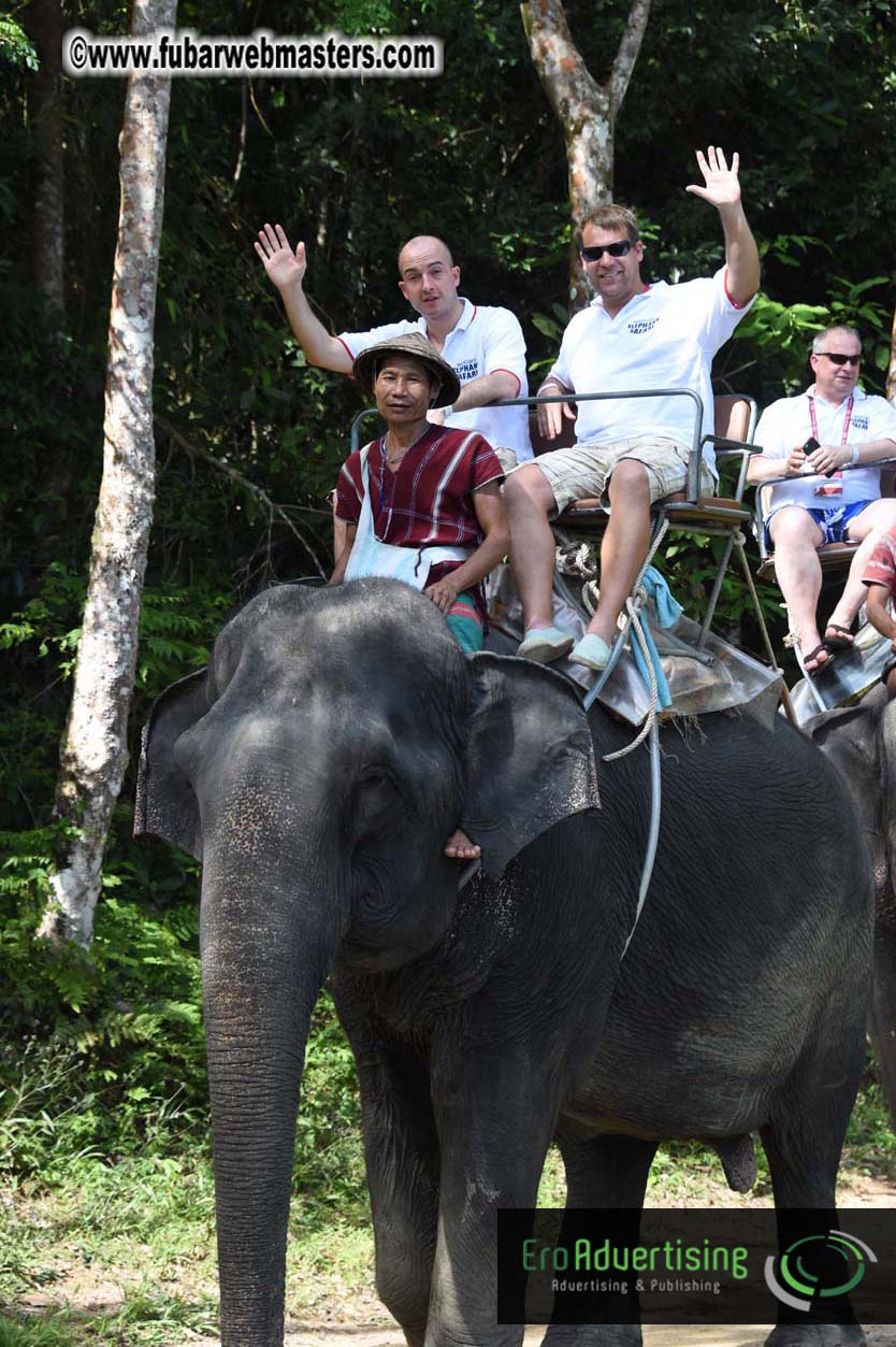 Elephant Safari 