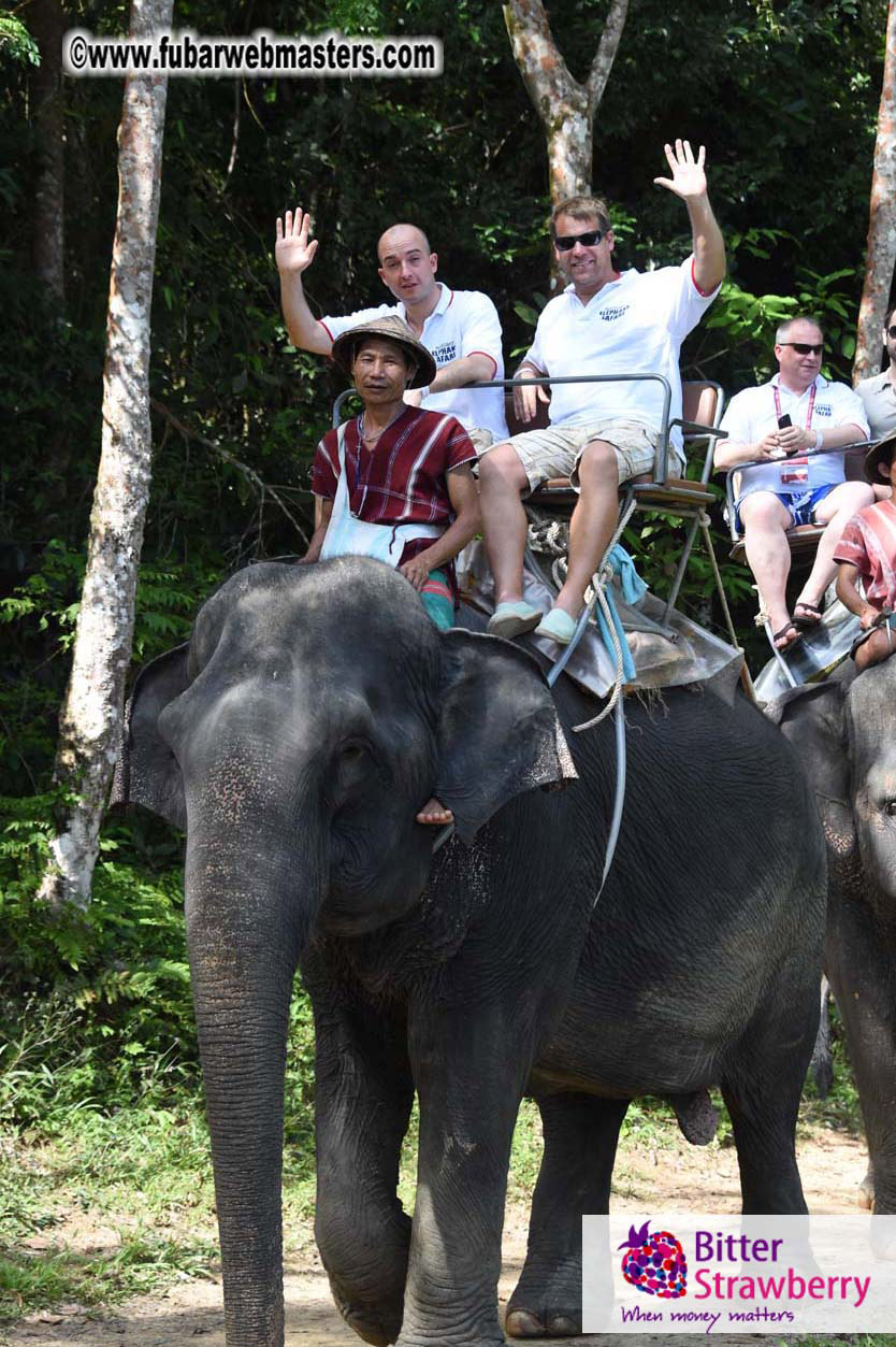 Elephant Safari 