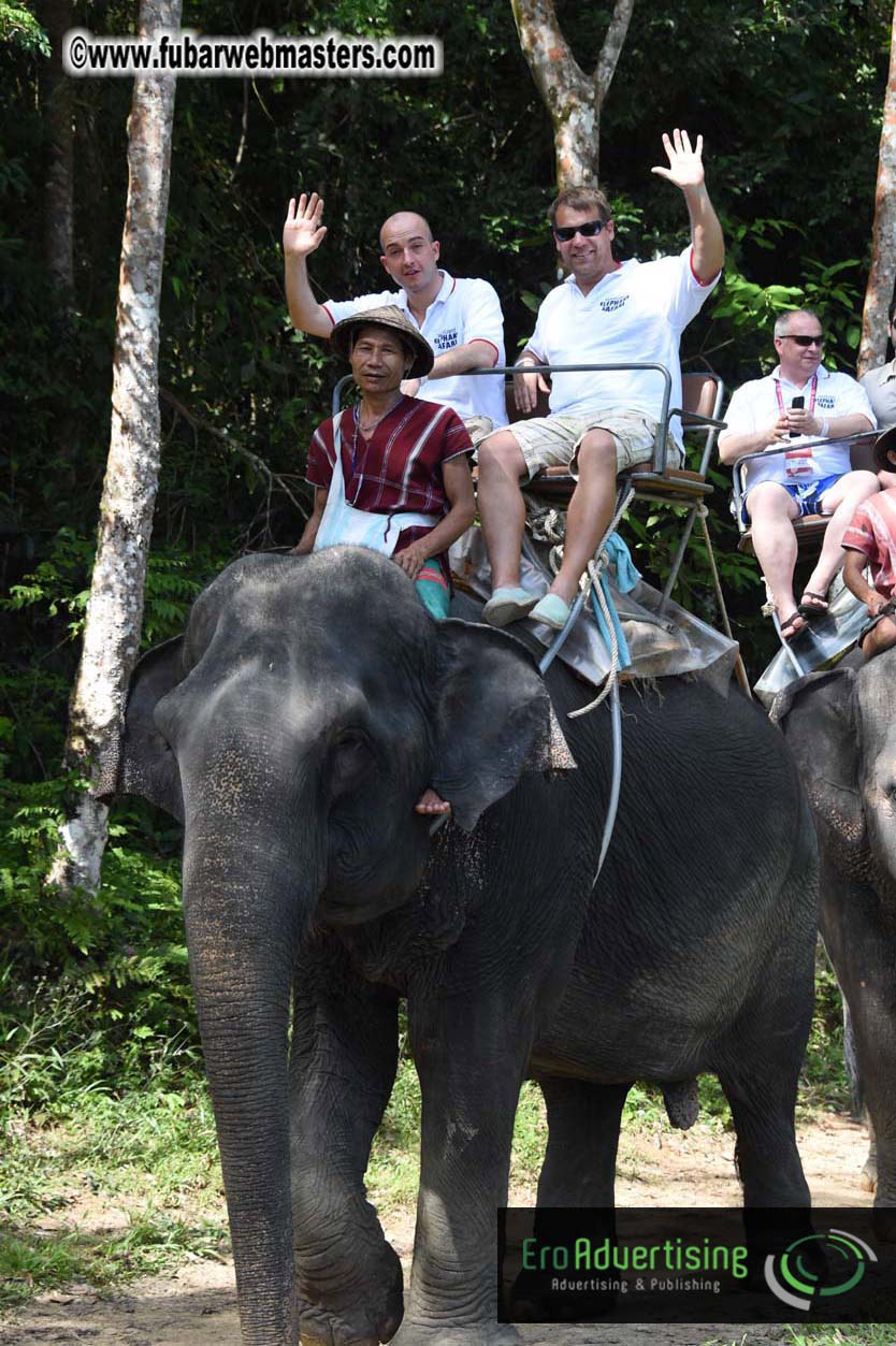 Elephant Safari 