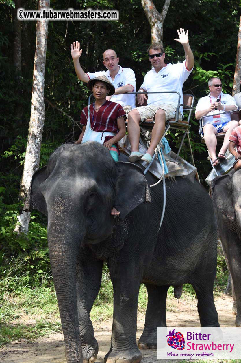 Elephant Safari 