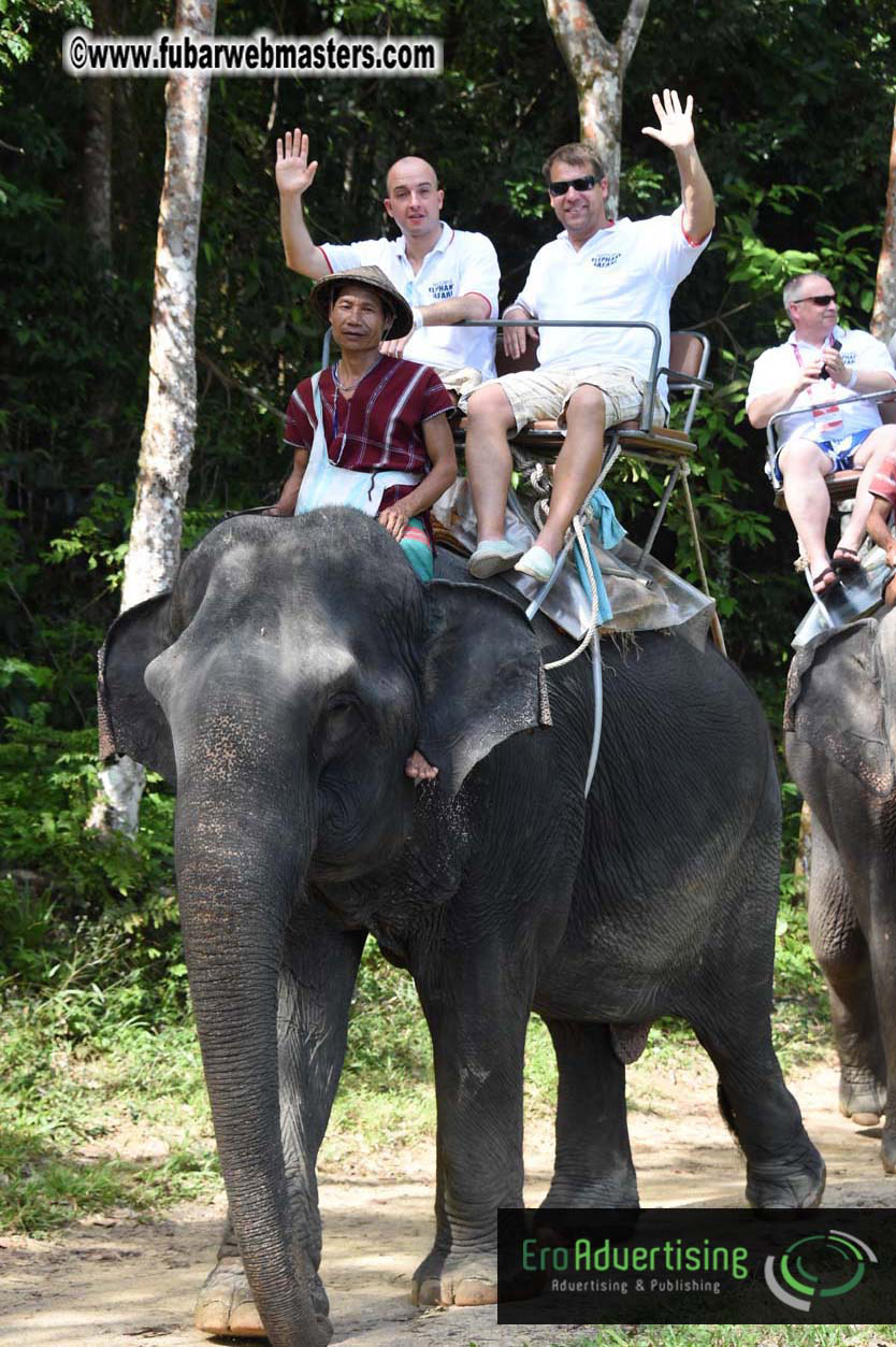 Elephant Safari 