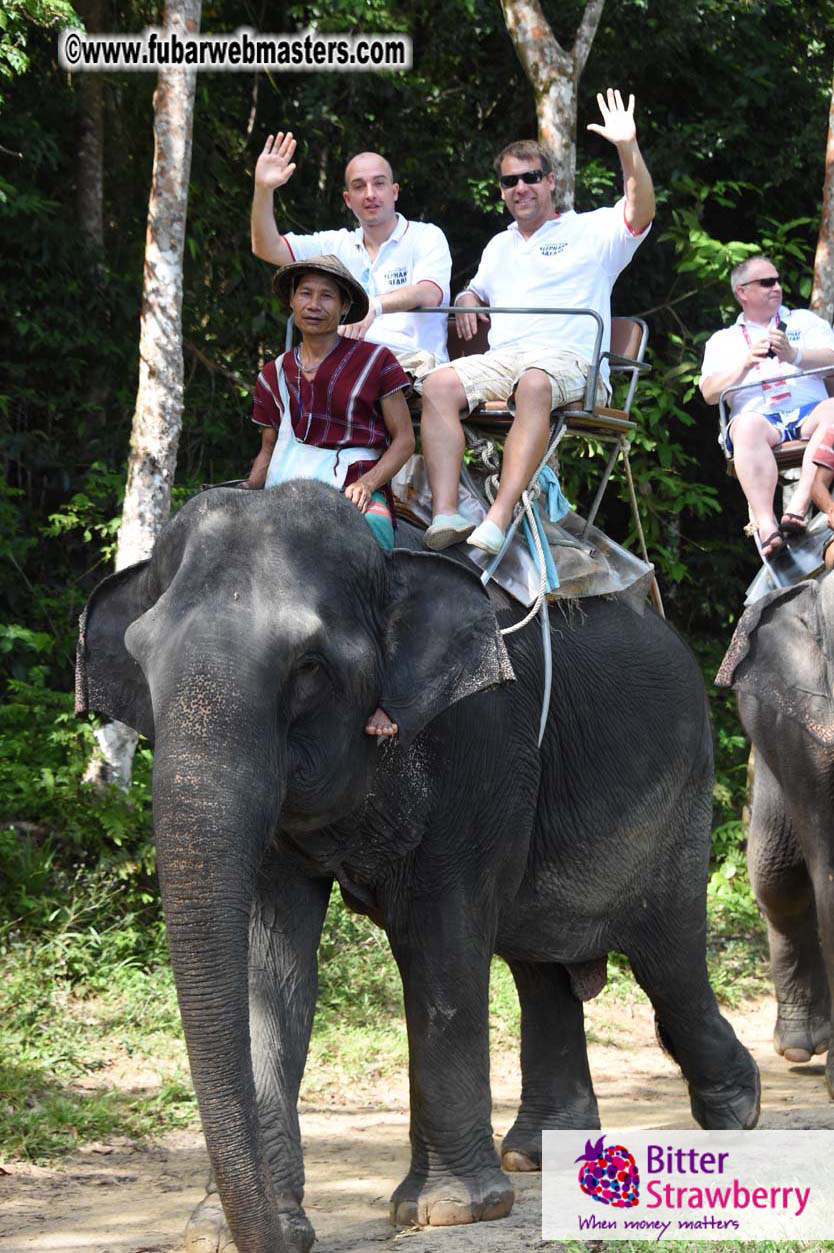 Elephant Safari 