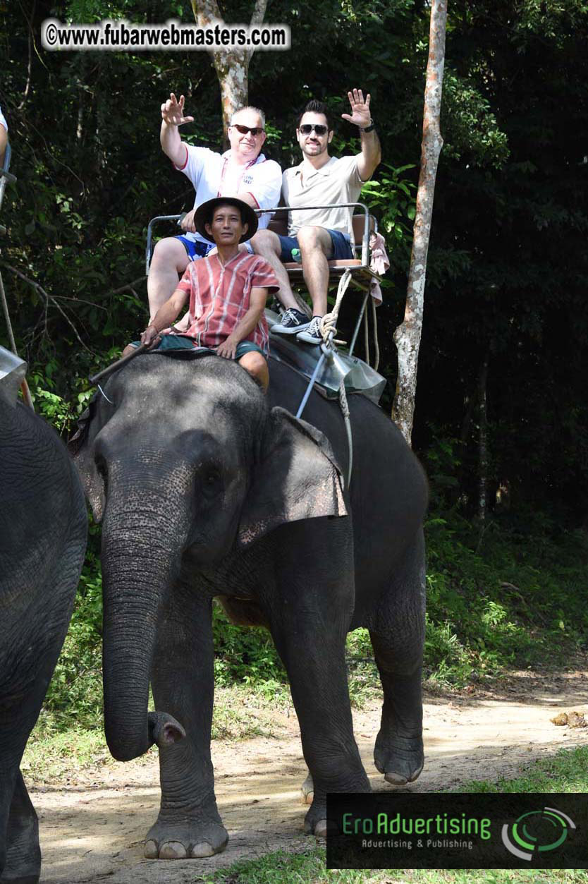 Elephant Safari 