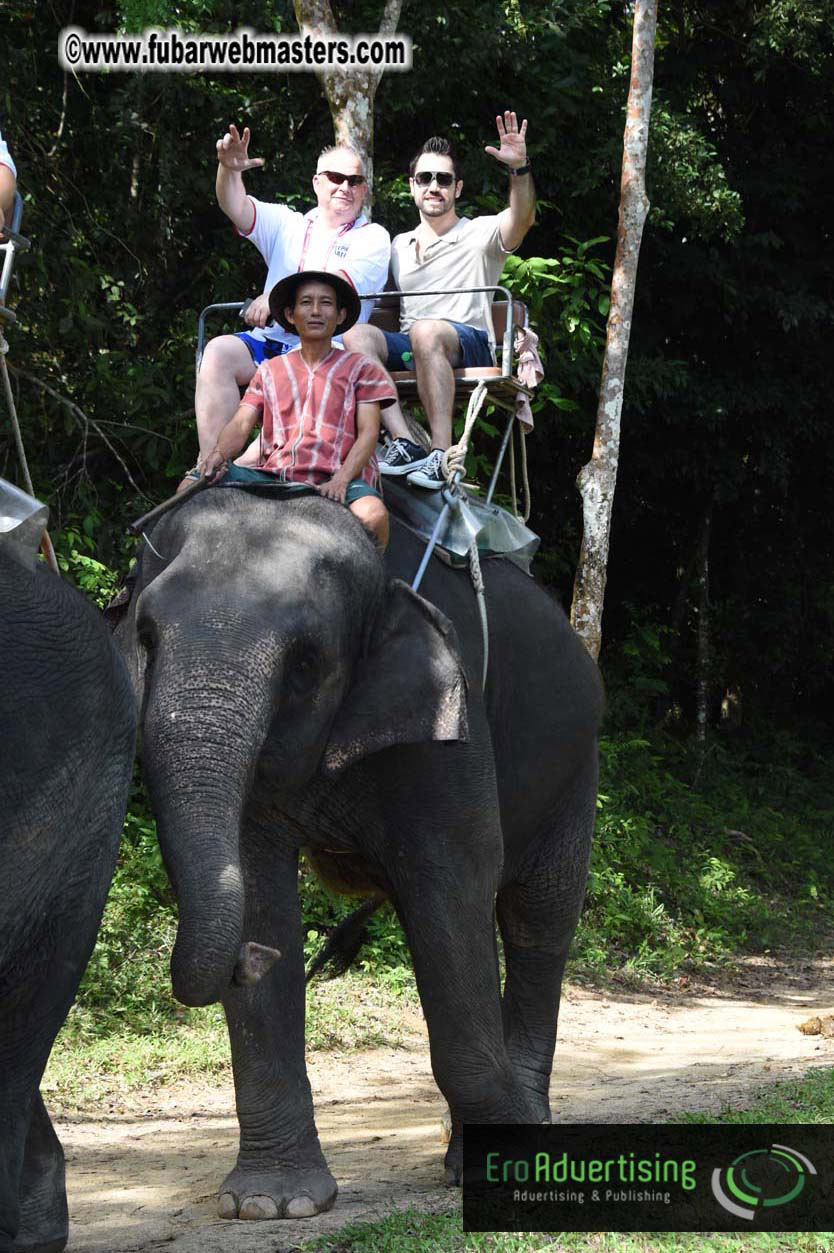 Elephant Safari 