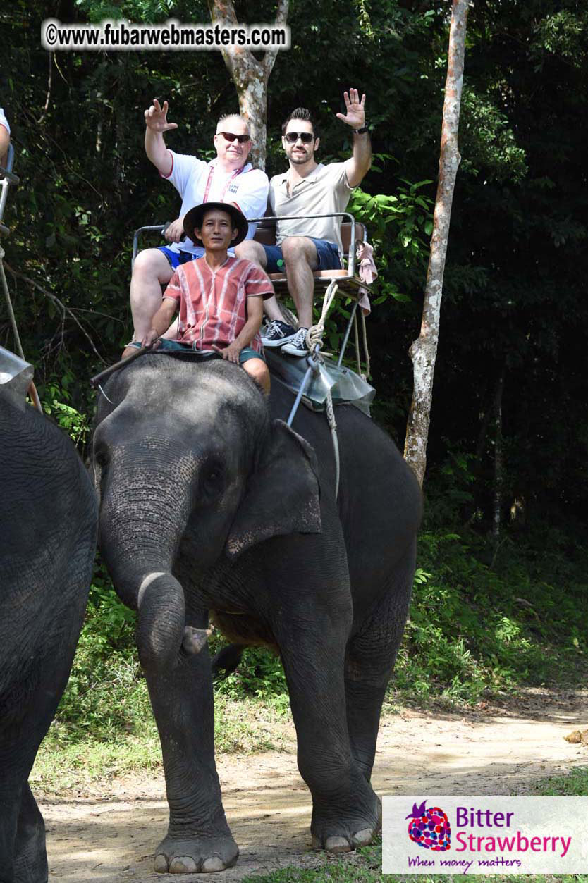 Elephant Safari 