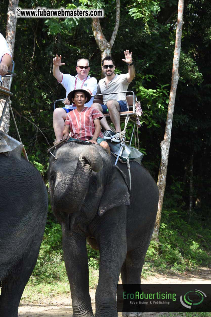 Elephant Safari 