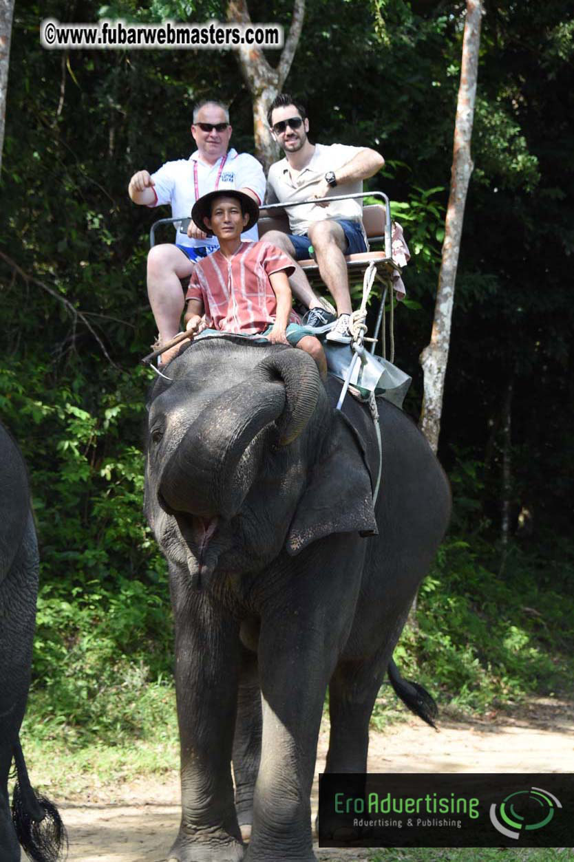 Elephant Safari 