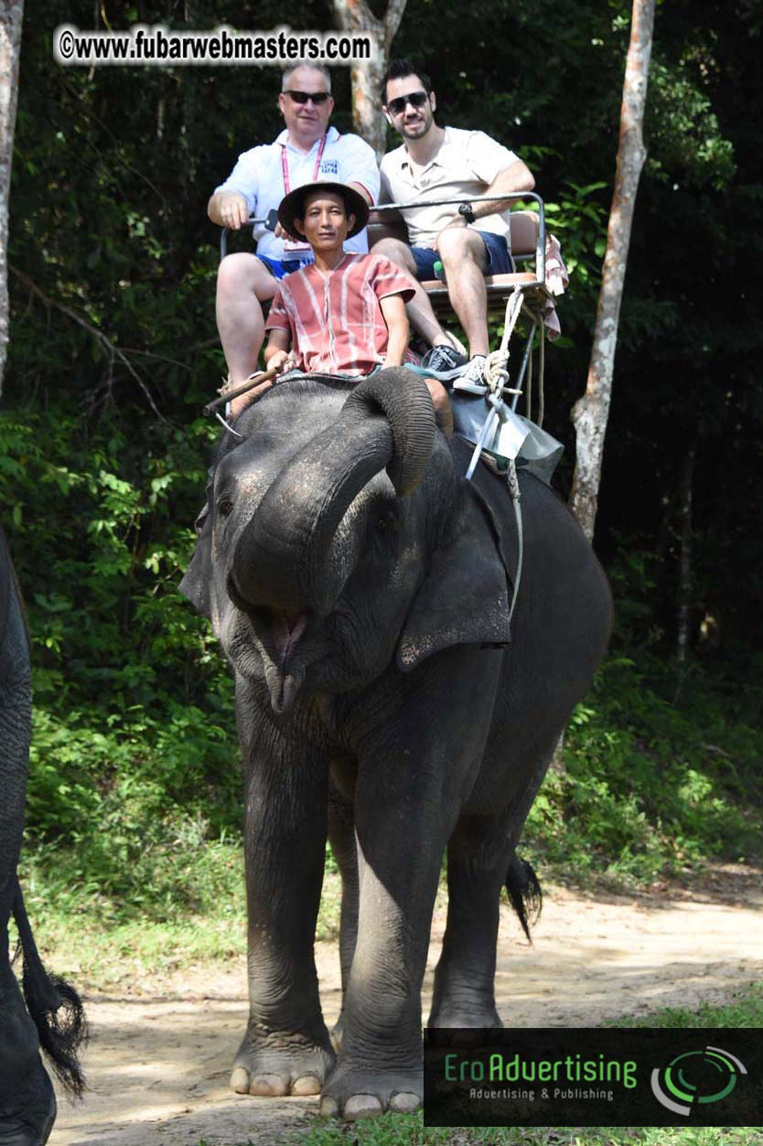 Elephant Safari 