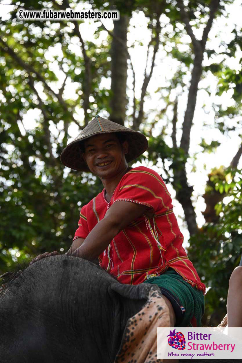 Elephant Safari 