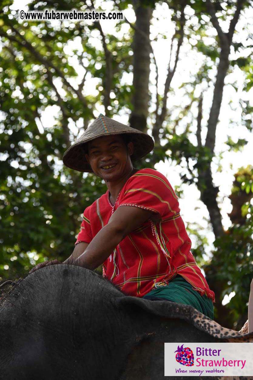 Elephant Safari 