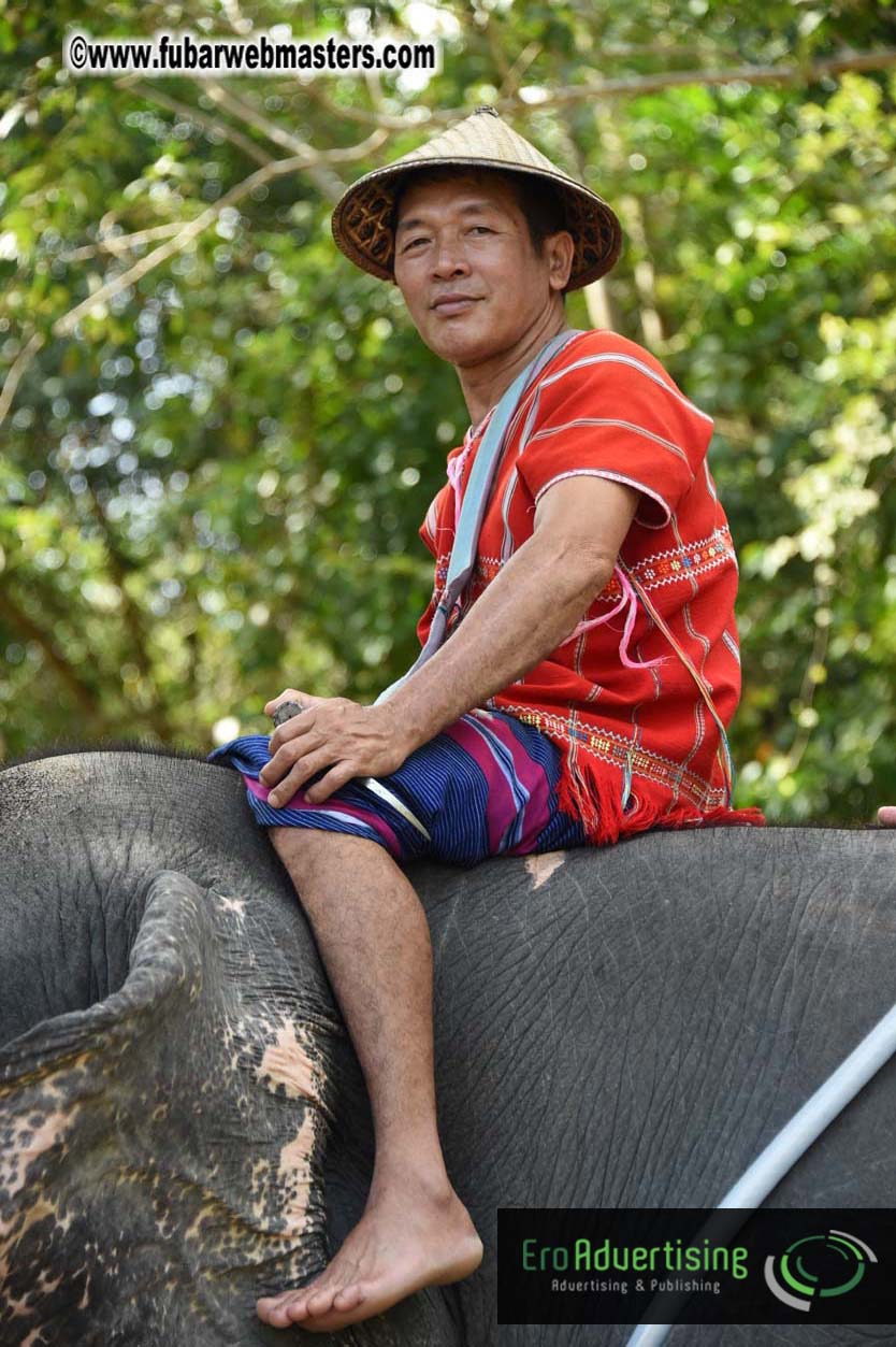 Elephant Safari 