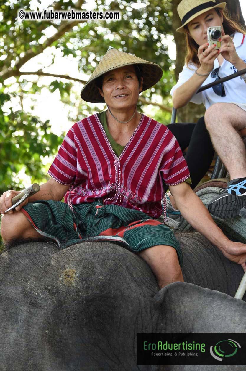 Elephant Safari 