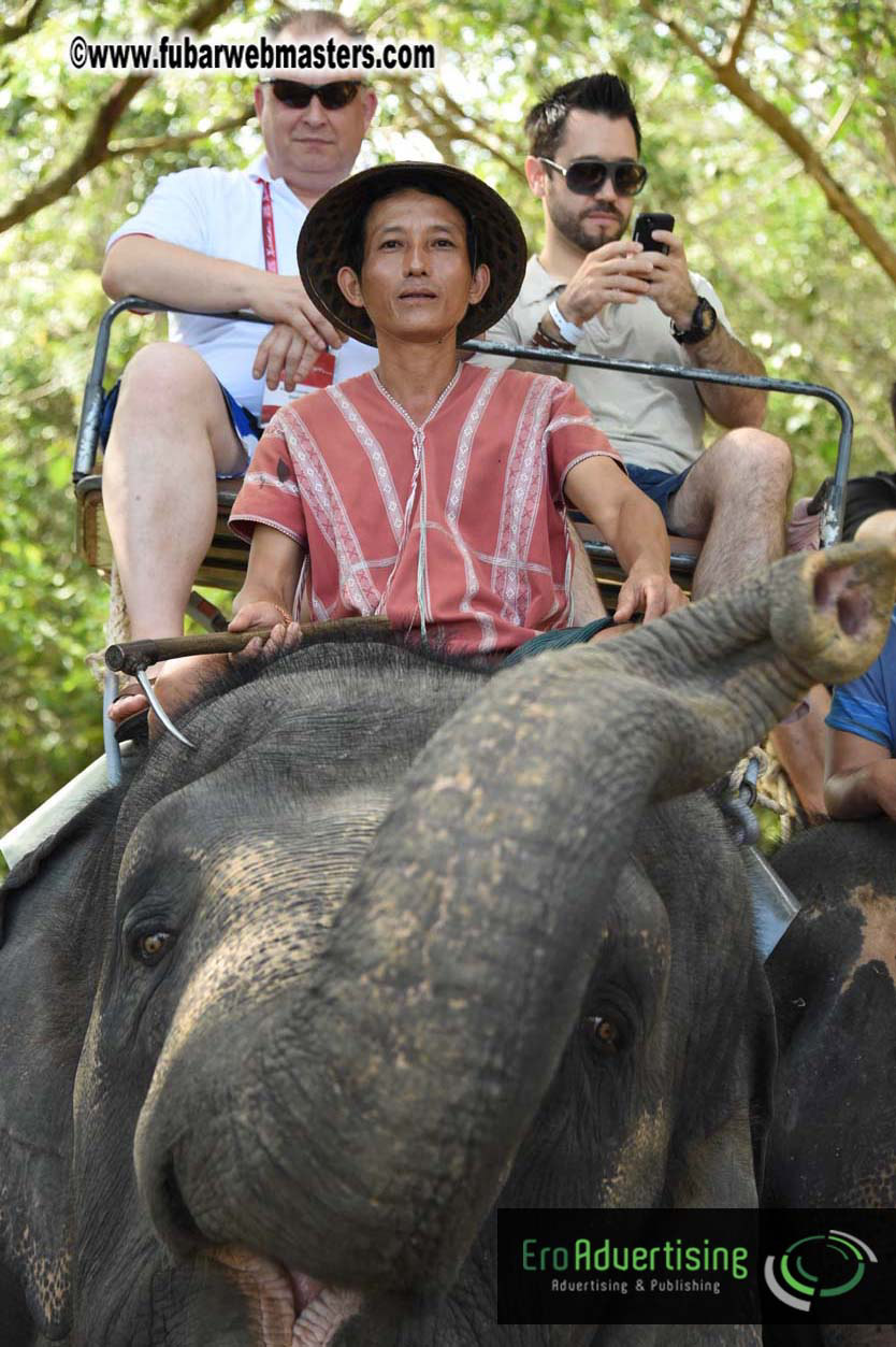 Elephant Safari 