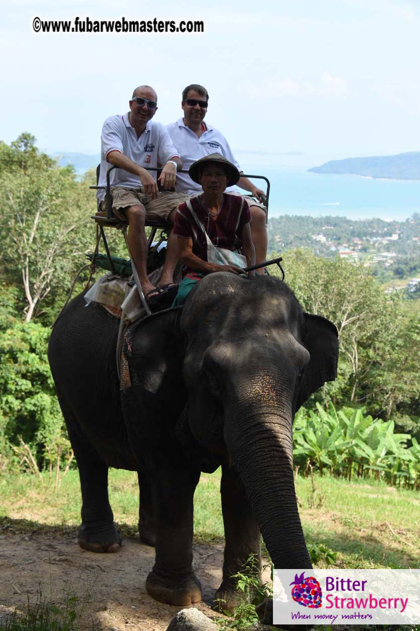 Elephant Safari 